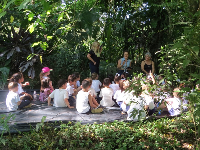 CICAF - Tempo da Criação Que a justiça e a paz fluam Dia da Árvore 5