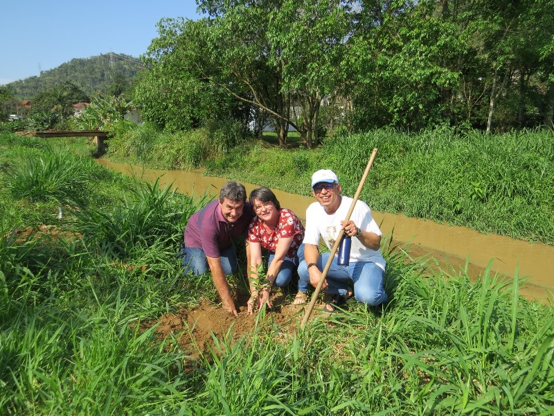 CICAF - Tempo da Criação Que a justiça e a paz fluam Dia da Árvore 6