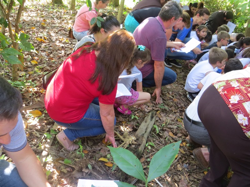 CICAF - Tempo da Criação Que a justiça e a paz fluam Dia da Árvore 7
