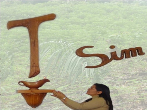 Consagra&ccedil;&atilde;o definitiva