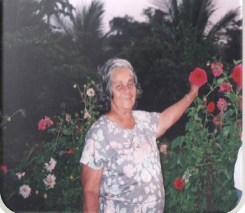 A vida continua... Agora na Plenitude