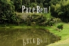 S&atilde;o Francisco de Assis: homem da Paz e do Bem!