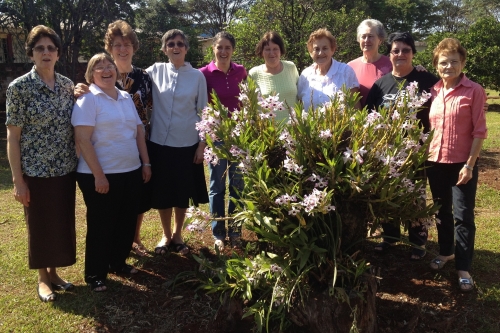 Grupo por &Aacute;rea de Interesse - Pastoral
