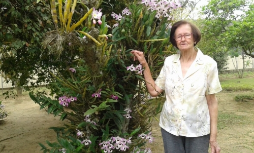 Hist&oacute;ria Vocacional