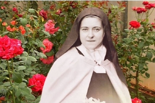 No pequeno caminho do amor...