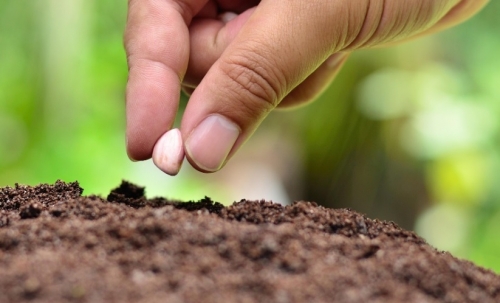 Encontro Vocacional e Minist&eacute;rios
