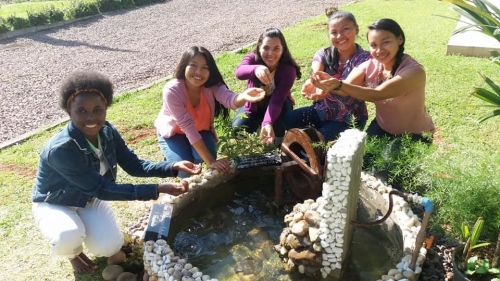 Partilha das Novi&ccedil;as