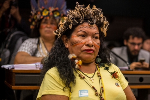 &ldquo;Alto l&aacute;! Esta terra tem dono!&rdquo;