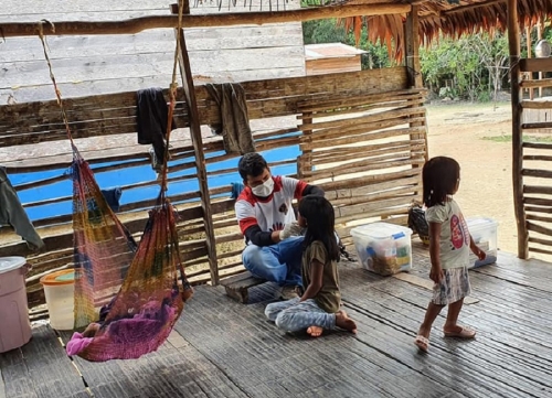 Amaz&ocirc;nia: devasta&ccedil;&atilde;o e neglig&ecirc;ncia