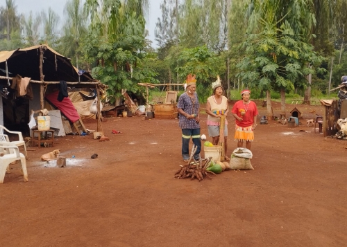 Claras de ontem e de hoje -  um caminho em busca da luz