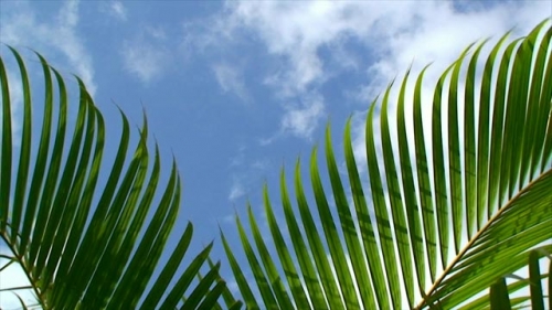 Humanizar nossa Jerusal&eacute;m...