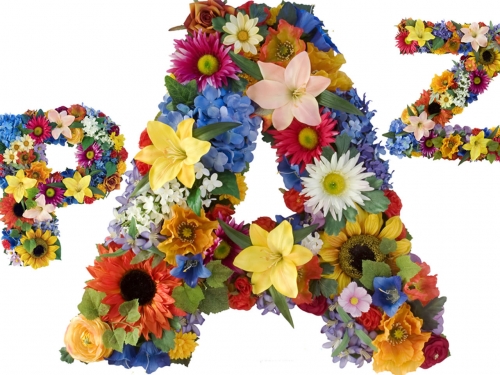 A PAZ &eacute; poss&iacute;vel...