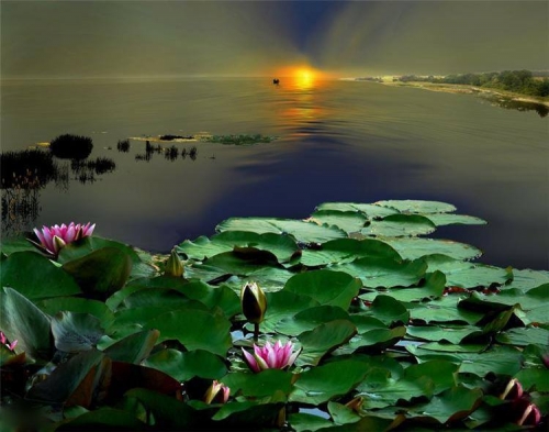 Encontro do N&uacute;cleo Manauara - Manaus / AM