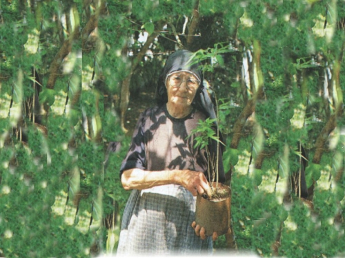 Lan&ccedil;amento do livro: &ldquo;&Eacute;den de Eva"