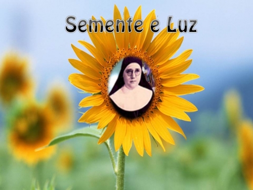 "Dou minha vida pelo povo do Maranh&atilde;o!"