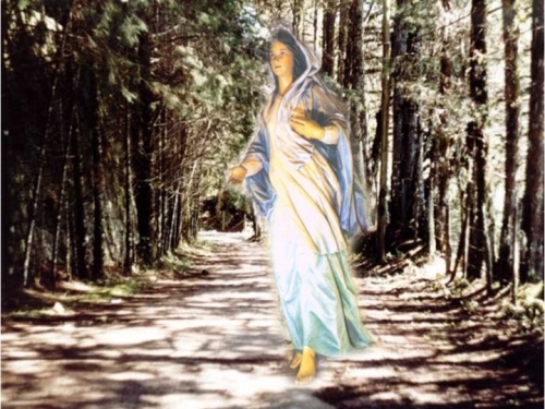 Festa do Imaculado Cora&ccedil;&atilde;o de Maria