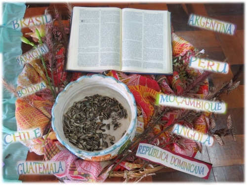 A Palavra de Deus nos 100 anos da Congrega&ccedil;&atilde;o das Irm&atilde;s Catequistas Franciscanas