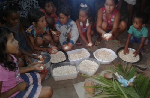 Cultivar e guardar a Cria&ccedil;&atilde;o