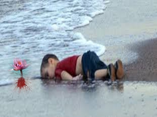 Clamor...L&aacute;grimas...Solidariedade...