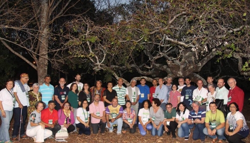 Uma ecoteologia iluminada pela Laudato Si a partir da Amaz&ocirc;nia