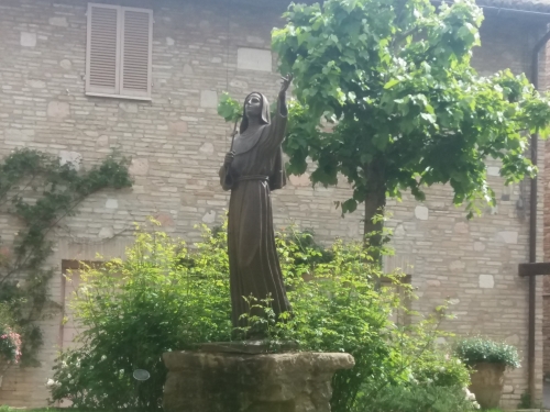 Clara de Assis, um sinal prof&eacute;tico!