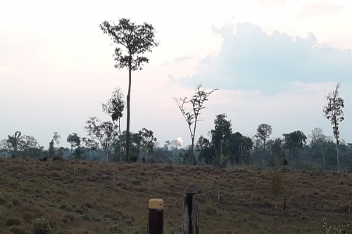Amaz&ocirc;nia &eacute; nosso lar!