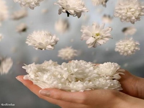 Dia de gratid&atilde;o e prece pelo chamado &agrave; VC!