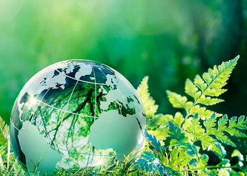 Tempo da cria&ccedil;&atilde;o