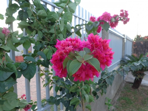 FRANCISCLAREANDO: L&aacute; vem a barra do dia