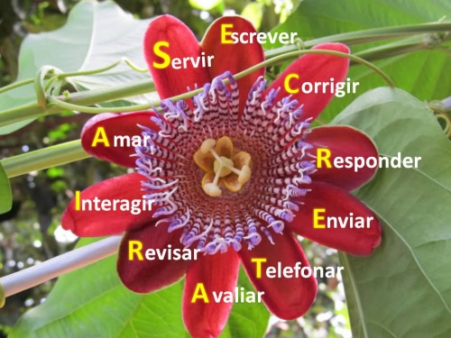 30 de Setembro: Dia da Secret&aacute;ria