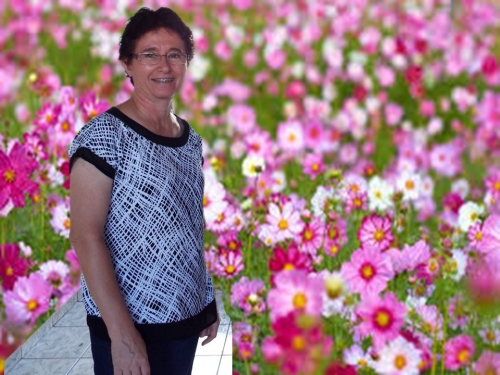 P&aacute;scoa de Irm&atilde; Cleide Lazarin