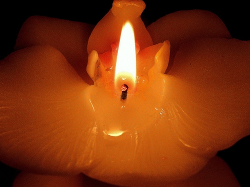 A transfigura&ccedil;&atilde;o na morte