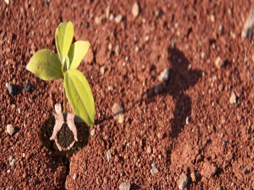 A Terra M&atilde;e...