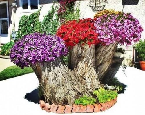 Junioristas da PSTMJ partilham o encontro