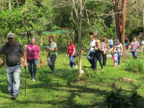 Tempo da Cria&ccedil;&atilde;o: &ldquo;Que a justi&ccedil;a e a paz fluam&rdquo; Dia da &Aacute;rvore
