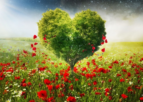 A Gra&ccedil;a e a Miss&atilde;o da Vida em Fam&iacute;lia!