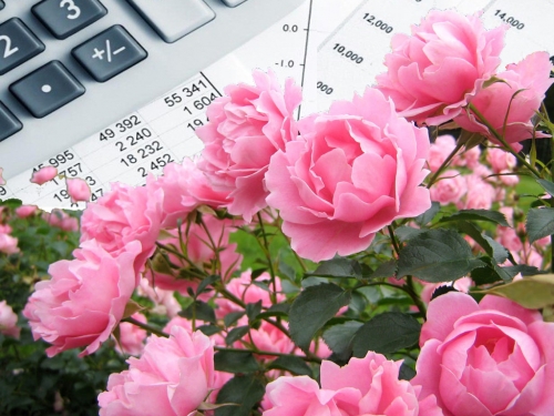 A Voc&ecirc; Ec&ocirc;noma Catequista Franciscana