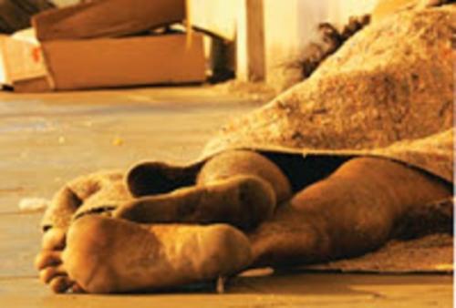 Biomas Brasileiros e Defesa da Vida.