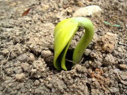 M&ecirc;s vocacional, a esperan&ccedil;a renasce!