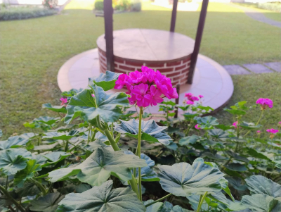 Partilha de conviv&ecirc;ncia na Casa M&atilde;e