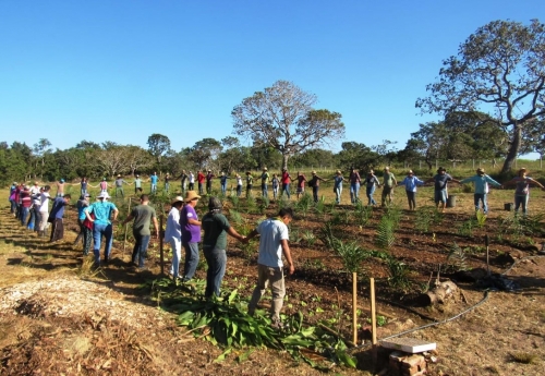 Curso de Agrofloresta: Pr&aacute;ticas, Princ&iacute;pios e Processos