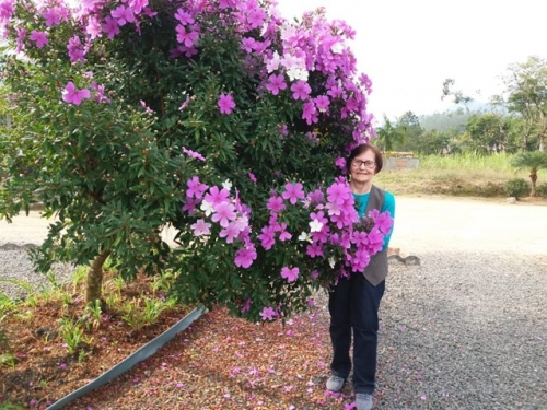 Um dia escutei teu chamado...