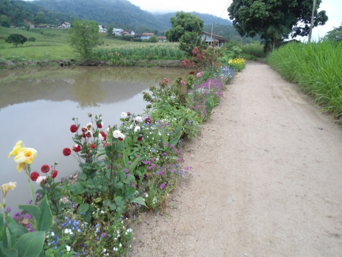 O Sonho se faz Caminho....