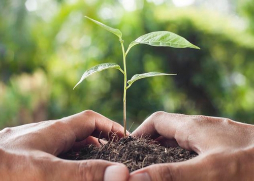Irm&atilde; Clem&ecirc;ncia Beninca!