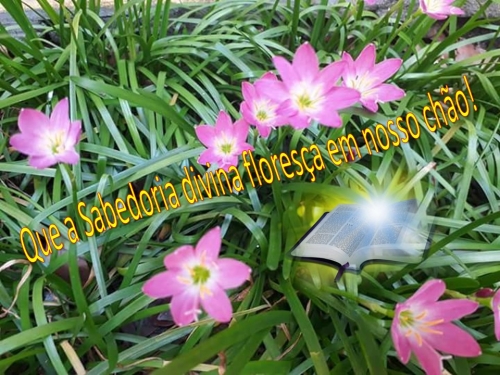 Seja bem-vindo, setembro!