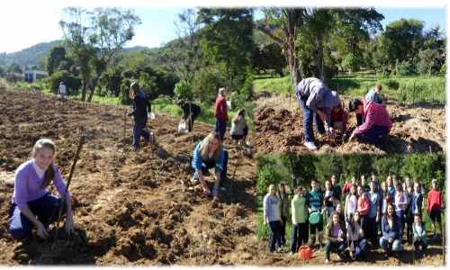 Mata ciliar &eacute; vida!