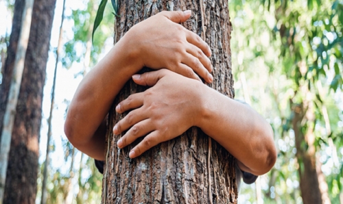 Natureza: Revela&ccedil;&atilde;o da Beleza, Diversidade e Cor da Divina Fonte da Vida!