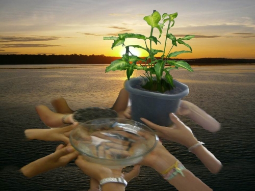 "Comungar e a vida partilhar" no Amazonas