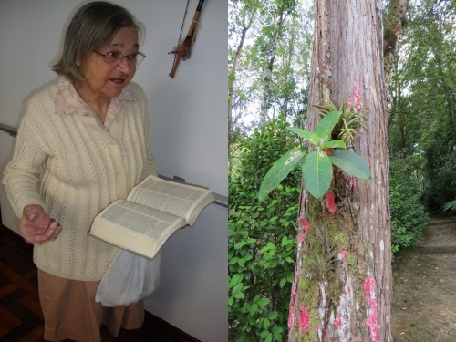 P&aacute;scoa de Irm&atilde; Margarida Floriani