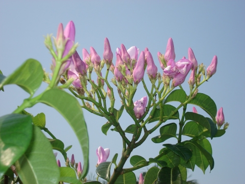 Parab&eacute;ns Secret&aacute;rias!